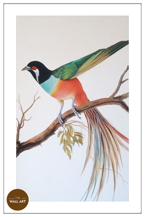 images/products/raindow_long_tail_bird/RAINDOW_LONG TAIL BIRD_WHITE_PWB.jpg